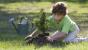 Photo of a boy carefully tending and watering an evergreen sapling.